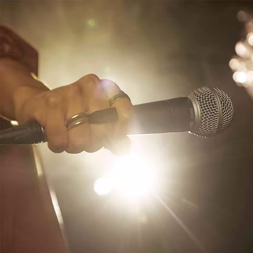 Micrófono dinámico de Karaoke, - Shure Mic Sm58 reseña y precio